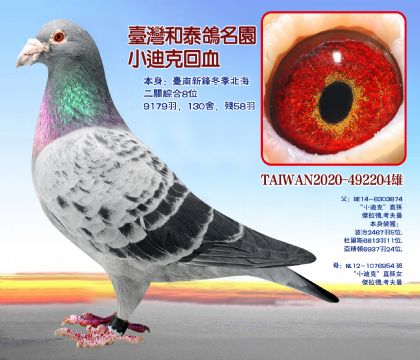 Ѫy(tng)СϿP(gun)C8λ