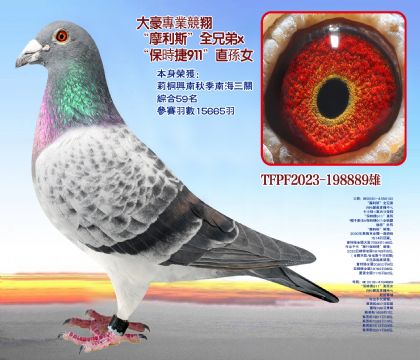 ϺP(gun)C59ِ(sh)15665(x)