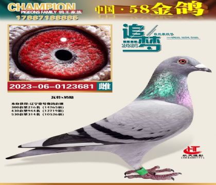 壹號(hào)公棚決賽314名