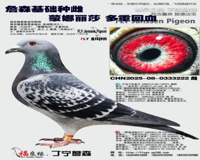 詹森蒙娜麗莎回血