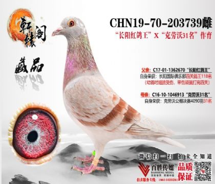 ܎@wLꖼtֱŮ-203739