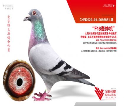 Řӡ˹շ¾Sԭ-0666661