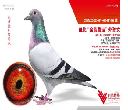 Řӡ˹շ¾Sԭ-0141146