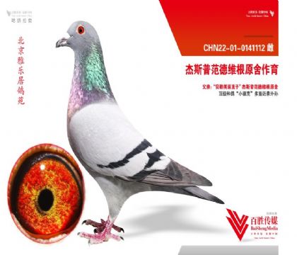 Řӡ˹շ¾Sԭ-0141112