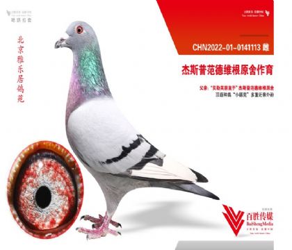 Řӡ˹շ¾Sԭ-0141113