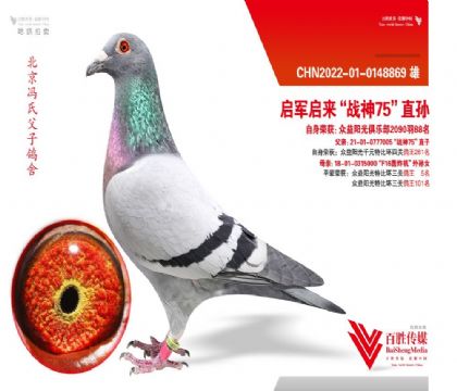 Tϸӡ܊(zhn)-0148869