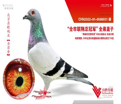 Ꮘ (lin)܊-0500031