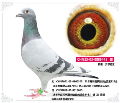 _I(y)---@I(y)_C322ֱ  	