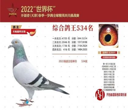 _(chung)-籭P(gun)C534   	