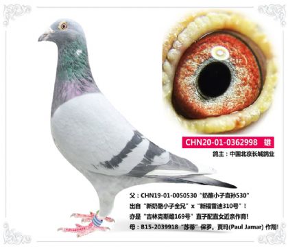 Ї(gu)L(zhng)I(y)---X¸׵998   	