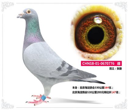 (hu)530200Ԫرȭh(hun)147   	