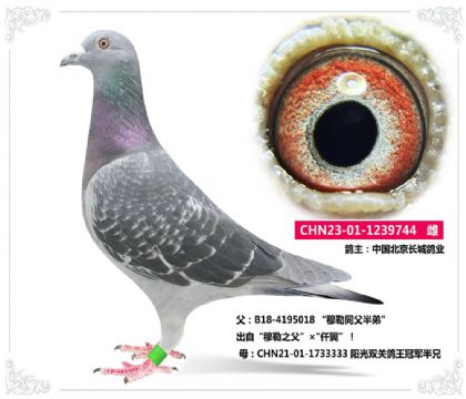 Ї(gu)L(zhng)I(y)---֮