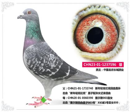 Ї(gu)L(zhng)I(y)----pXD˹596   	