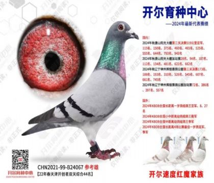 _I(y)---_(chung)-籭pP(gun)C44  	