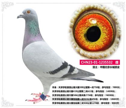 Ї(gu)L(zhng)I(y)---վ458  	