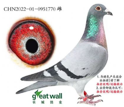 Ї(gu)L(zhng)I(y)----p770   	