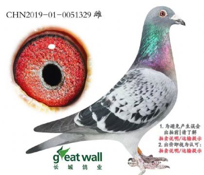 Ї(gu)L(zhng)I(y)----WR329   	