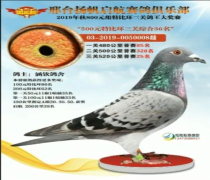 _(ti)Іِ㘷(l)P(gun)Cرȭh(hun)86   	