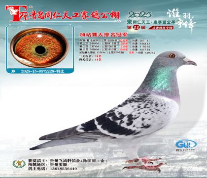 青岛同仁天工加站赛大排名冠军