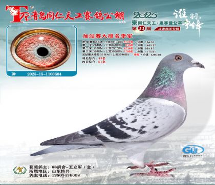 青岛同仁天工加站赛大排名季军