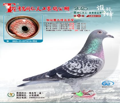 青岛同仁天工加站赛大排名亚军