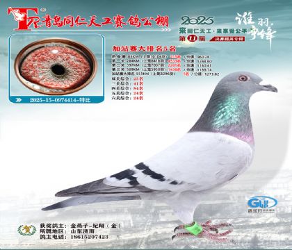 青岛同仁天工加站赛大排名5名