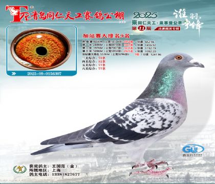 青岛同仁天工加站赛大排名9名