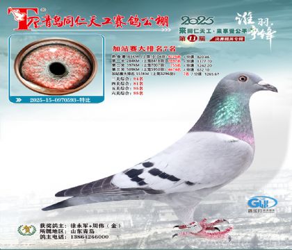 青岛同仁天工加站赛大排名7名