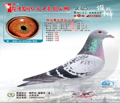 青岛同仁天工加站赛大排名10名