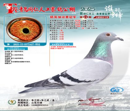 青岛同仁天工加站赛冠军