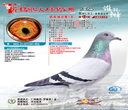 青岛同仁天工加站赛4名