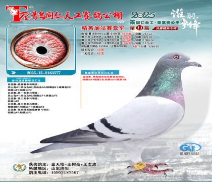 青岛同仁天工加站赛亚军