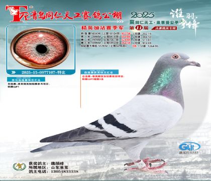 青岛同仁天工加站赛季军