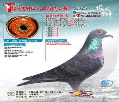 青岛同仁天工加站赛5名