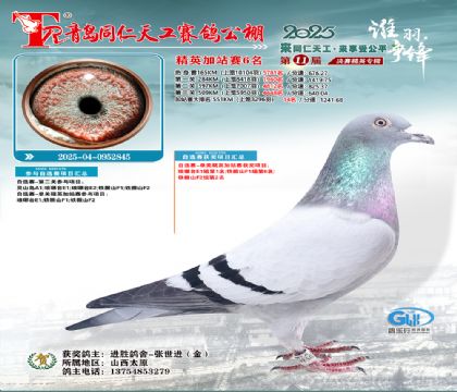 青岛同仁天工加站赛6名