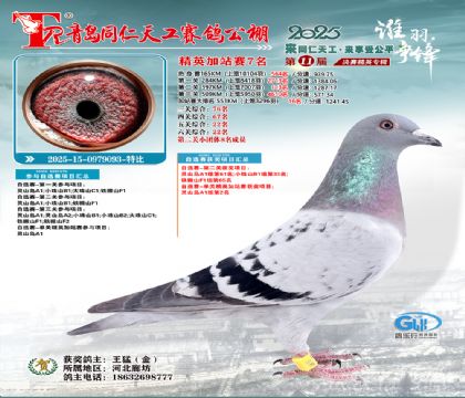 青岛同仁天工加站赛7名