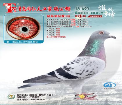 青岛同仁天工加站赛8名