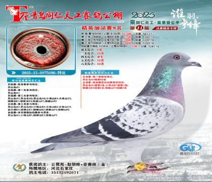 青岛同仁天工加站赛9名