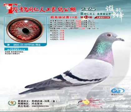 青岛同仁天工加站赛10名