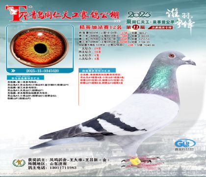 青岛同仁天工加站赛12名