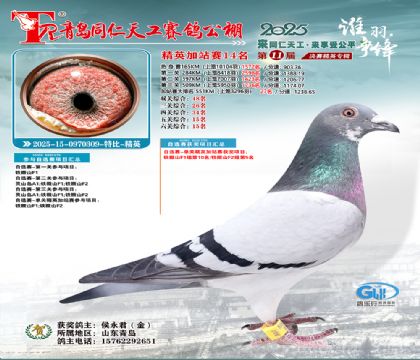 青岛同仁天工加站赛14名