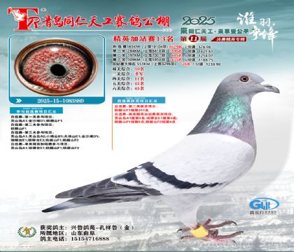 青岛同仁天工加站赛13名