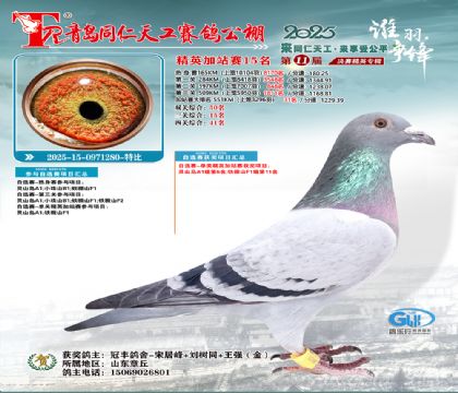 青岛同仁天工加站赛15名