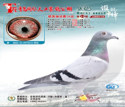 青岛同仁天工加站赛16名