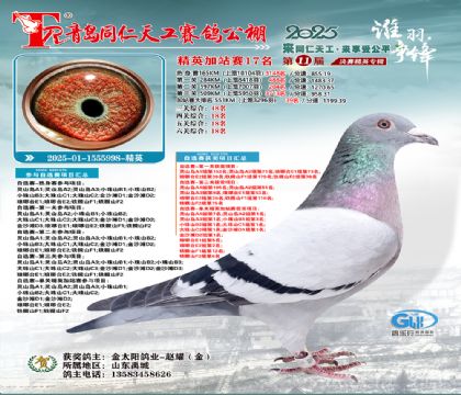 青岛同仁天工加站赛17名