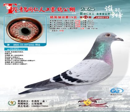 青岛同仁天工加站赛18名