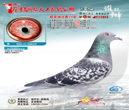 青岛同仁天工加站赛19名