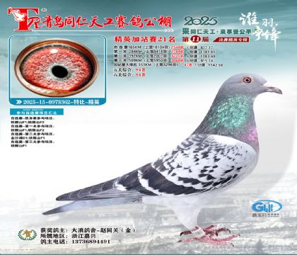 青岛同仁天工加站赛21名