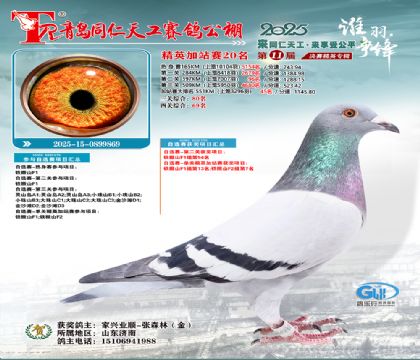 青岛同仁天工加站赛20名