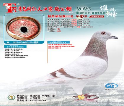 青岛同仁天工加站赛22名